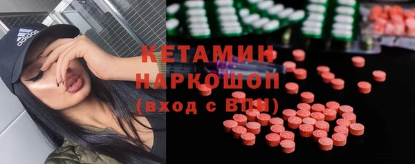 гидра Каменка