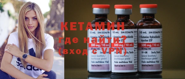 гидра Каменка