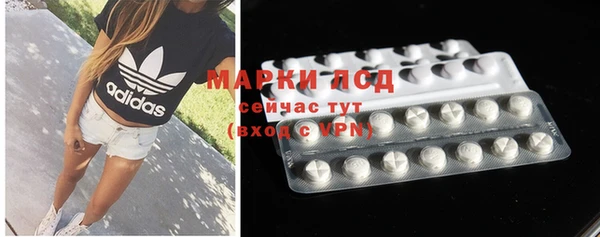 гидра Каменка