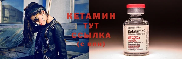 гидра Каменка