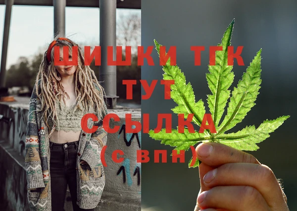 гидра Каменка