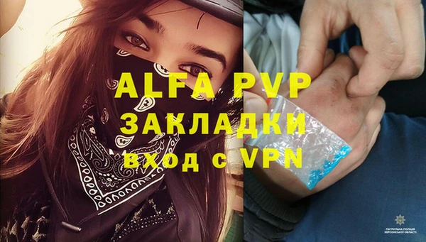 гидра Каменка