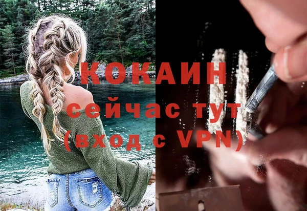 альфа пвп Каменногорск
