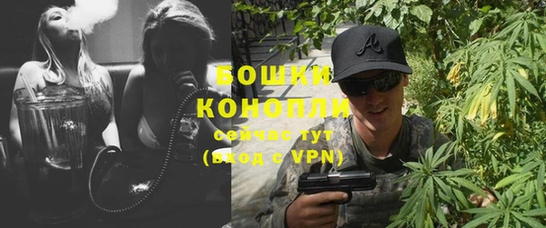 гидра Каменка