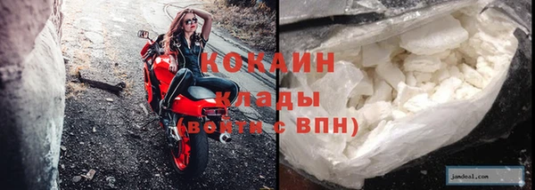 гидра Каменка