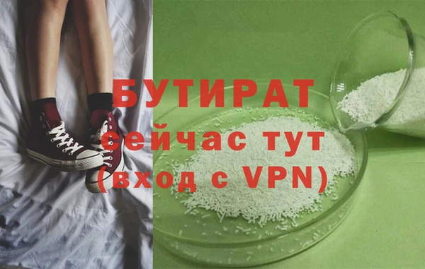 гидра Каменка