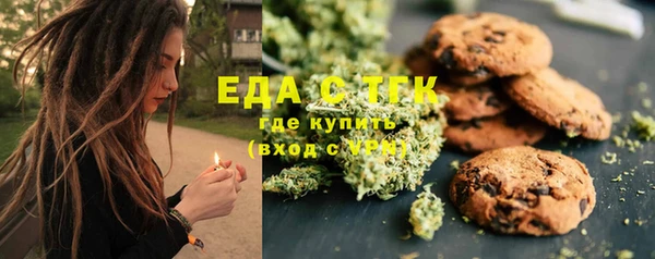 гидра Каменка
