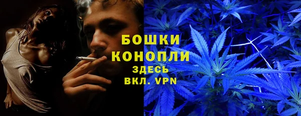 альфа пвп Каменногорск
