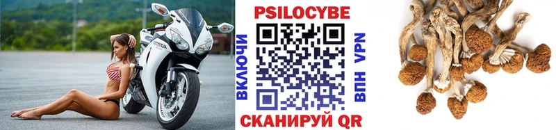 Псилоцибиновые грибы ЛСД Купить закладки Алушта